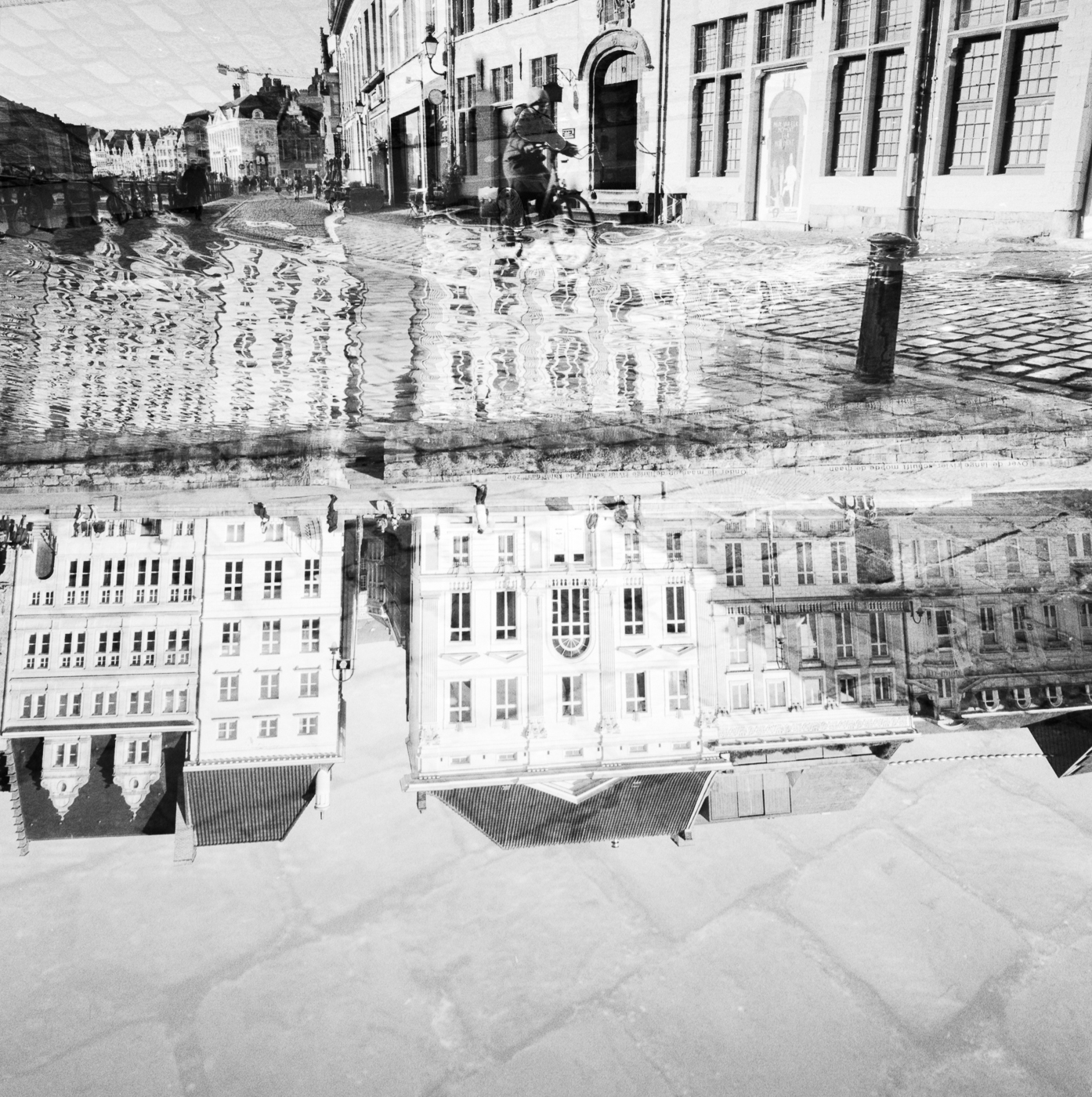 Between Image and Illusion