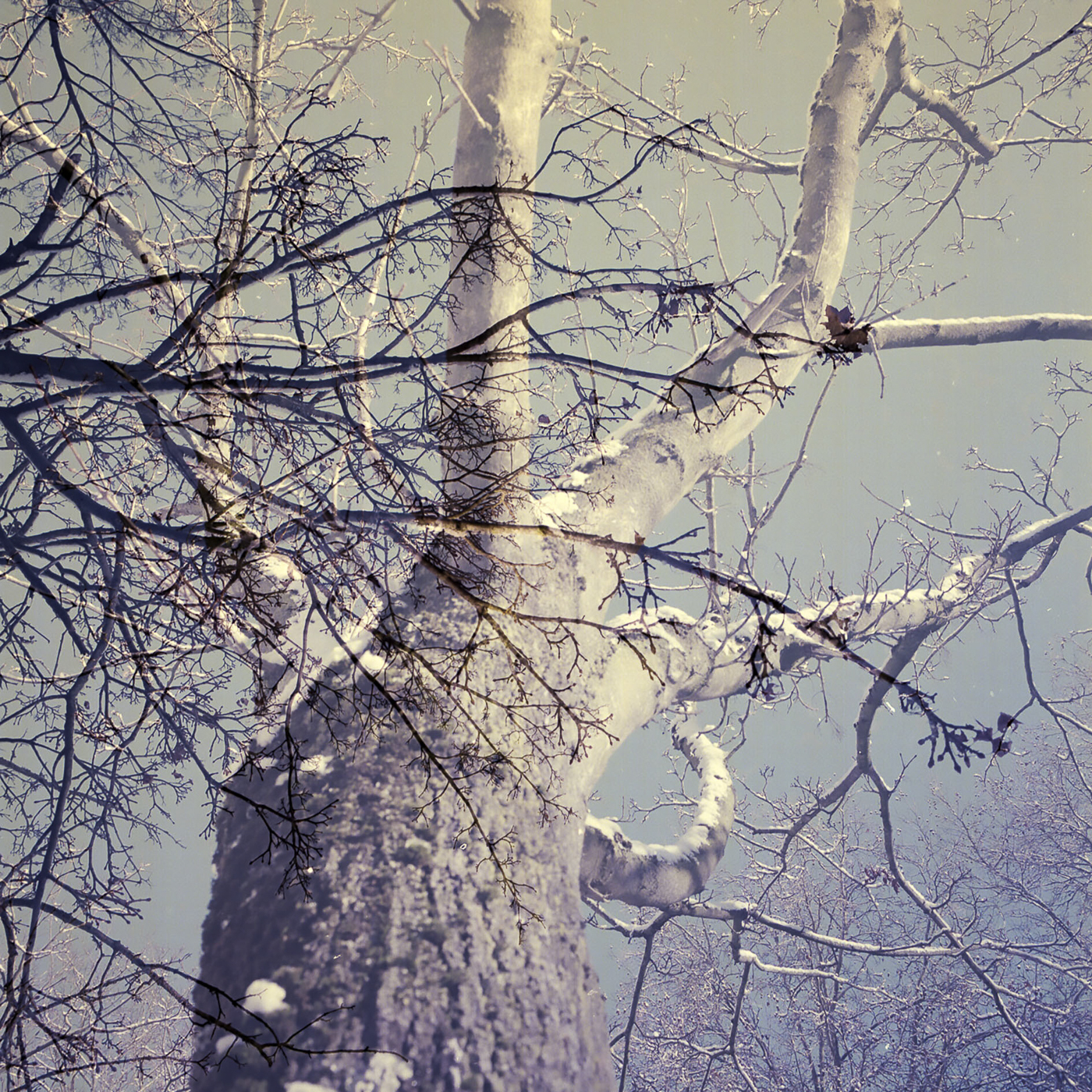 Forgotten Memories #3