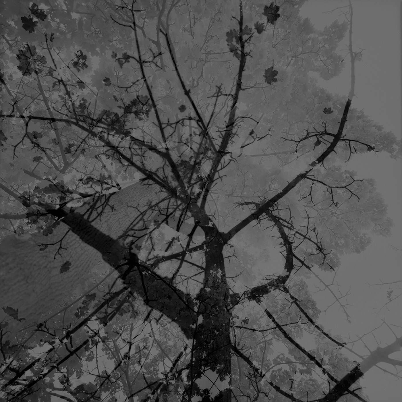 Forgotten Memories #4